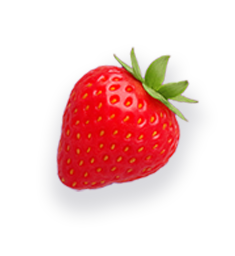 Fruit 4
