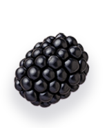 Fruit 2